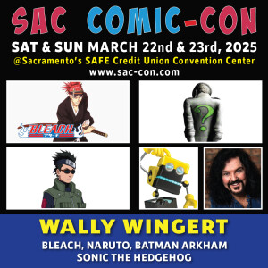 saccomic_0325_web_banners